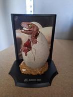 Noble collection raptor hatchling, Ophalen of Verzenden, Zo goed als nieuw