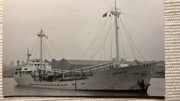 ex THUBAN '57 Nievelt Goudriaan JOVISTA  Suurmeijer beschikbaar voor biedingen