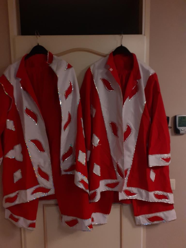 2 zelfgemaakte carnavalspakken voor€20,00(per stuk €12,50)., Kleding | Dames, Ophalen, Maat 46/48 (XL) of groter, Carnaval
