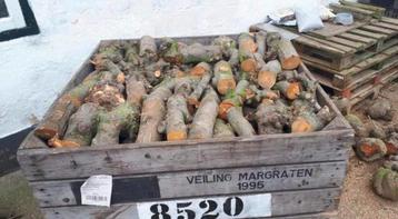Te koop haardhout van appelbomen. beschikbaar voor biedingen