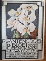 Plantengroei en Bloei, Deel 2, Antiek en Kunst, Ophalen of Verzenden, L. Dorsman Czn. en Jac. van der Klei