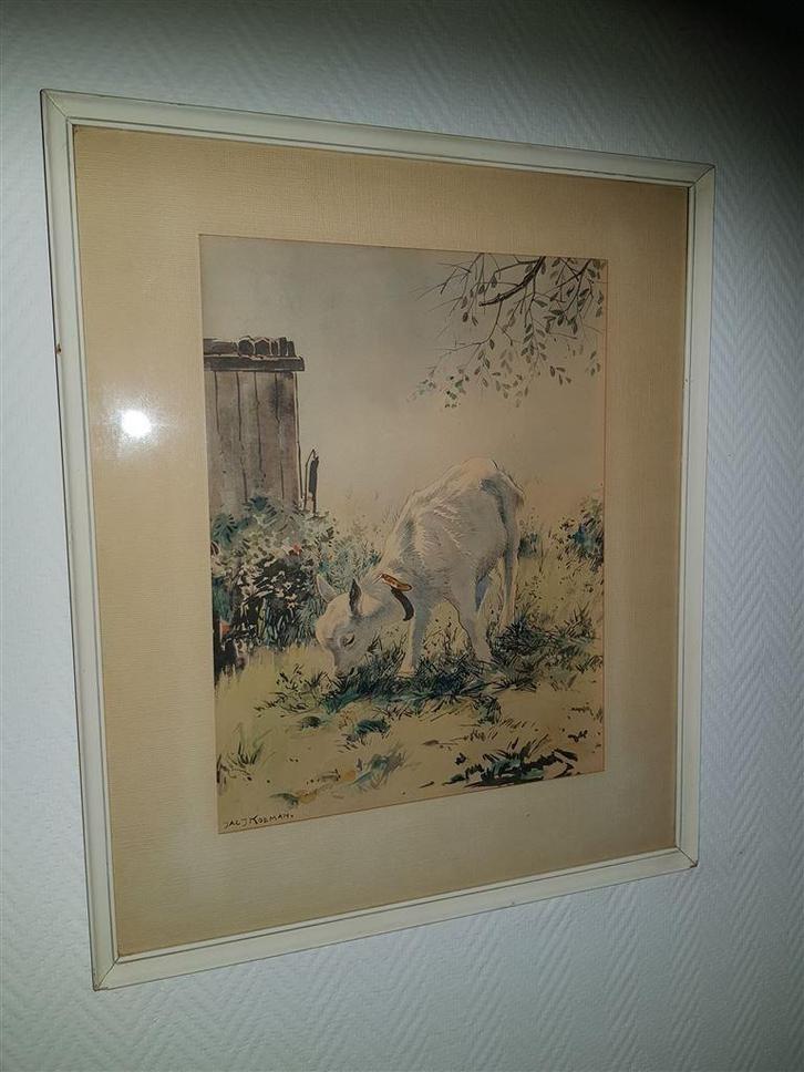 Jac. J. Koeman, handgekleurd, grazend geitje, Antiek en Kunst, Kunst | Overige Kunst, Ophalen