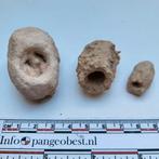 Fossiele Kevers Cocoons - Leptopius duponti, Ophalen of Verzenden, Gebruikt, Opgezet dier