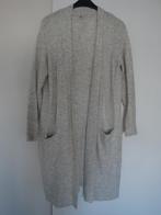 Maat L. Lang licht grijs gemêleerd vest., Kleding | Dames, Truien en Vesten, Ophalen of Verzenden, Zo goed als nieuw, Maat 42/44 (L)