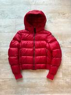 Parajumpers Sheen jas rood maat M, Maat 38/40 (M), Zo goed als nieuw, Rood, Parajumpers