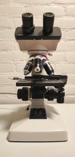 Nikon Model SE – Professionele Upright Lichtmicroscoop, Ophalen of Verzenden, Zo goed als nieuw, Minder dan 400x, Biologische microscoop