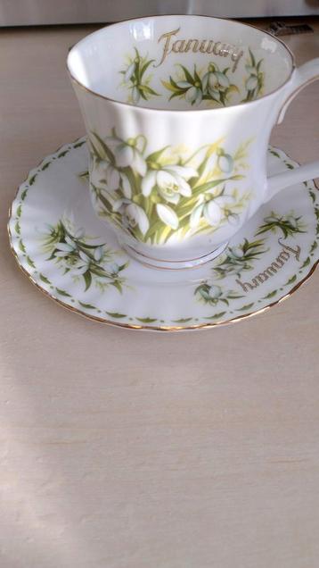 Royal Albert January - Kop en Schotel - Koopje! beschikbaar voor biedingen