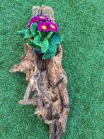 Eikenhouten stronken, Ophalen of Verzenden, Nieuw