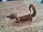 Opgezette oude kaaiman krokodil., Ophalen, Gebruikt, Reptiel of Amfibie, Opgezet dier