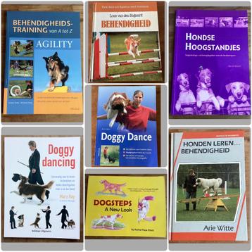 Sport en beweging hond - Ray / Weber / Nijland / Elliott beschikbaar voor biedingen