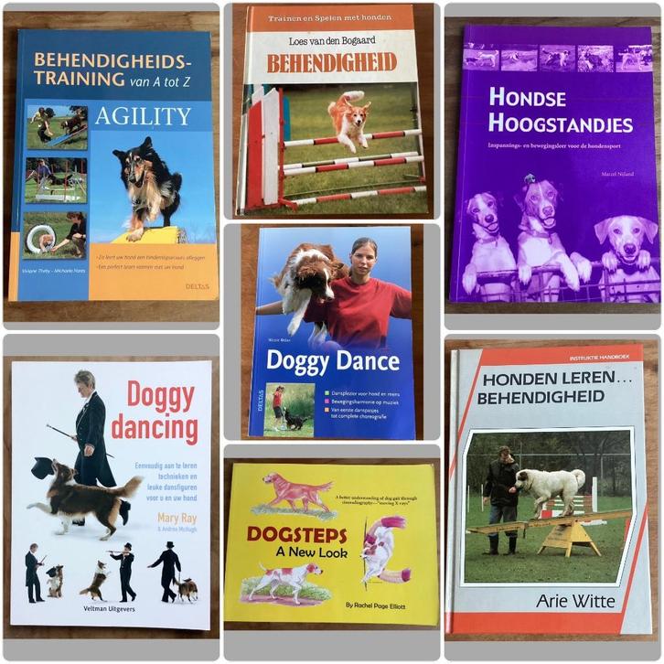 Sport en beweging hond - Ray / Weber / Nijland / Elliott, Boeken, Dieren en Huisdieren, Zo goed als nieuw, Honden, Ophalen of Verzenden
