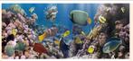 Tropische Vissen Schilderij, Ophalen, 125 cm of meer, Zo goed als nieuw, Schilderij