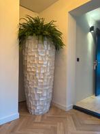 Hoge witte bloempot xxl gemaakt van echte shelpen!, Kunststof, Gebruikt, 40 cm of meer, Binnen