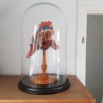 Anatomisch Model Hart onder Glazen Stolp 1950s, Ophalen
