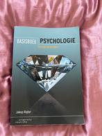 Jakop Rigter - Basisboek psychologie, Sociale psychologie, Verzenden, Jakop Rigter, Zo goed als nieuw
