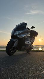 TMAX - XP500, Motoren, Particulier, 2 cilinders, Scooter, 12 t/m 35 kW