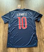 PSG Champions League shirt - Dembele #10 - Maat L, Verzenden, Zo goed als nieuw, Shirt