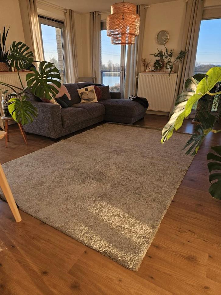 IKEA STOENSE vloerkleed – 200x300 cm – grijs, Huis en Inrichting, Stoffering | Vloerbedekking, Zo goed als nieuw, Tapijt, Grijs