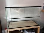 Hamsterkooi / hamster terrarium 80x40x50, Kooi, Zo goed als nieuw, Hamster, 75 tot 110 cm