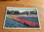 X53) REPRODUCTIE Bennebroek Hyacintenvelden, Verzamelen, Ansichtkaarten | Nederland, Ophalen of Verzenden, Zuid-Holland