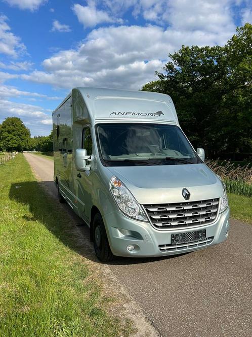 Occasion Renault Master automatic MTM Stallion layout, Dieren en Toebehoren, Paarden en Pony's | Trailers en Aanhangwagens, Gebruikt