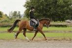 Gezocht bijrijdster, Diensten en Vakmensen, Dieren | Paarden | Verzorging, Oppas en Les, Verzorging of Verzorgpony's