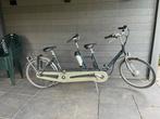 Van Raam Elektrische Tandem (Defect), Ophalen