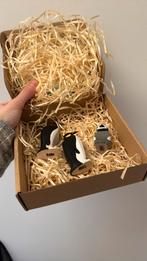 Pinguïn set bumbu toys, Ophalen of Verzenden, Zo goed als nieuw, Overige typen