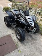 Eton viper ST150, Motoren