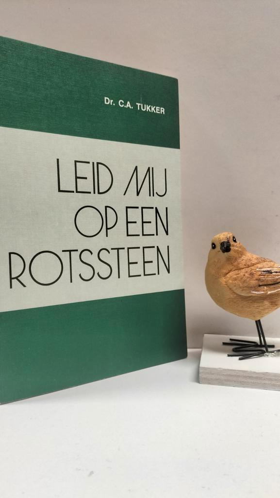 Tukker, Dr. C.A.; Leid mij op een rotssteen, Boeken, Godsdienst en Theologie, Gelezen, Christendom | Protestants, Ophalen of Verzenden