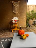 Kinderstoel Tiamo met tuigje en zitje van nijntje, Kinderen en Baby's, Ophalen, Zo goed als nieuw, Meegroeistoel, Stoelverkleiner