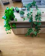 Home decoration, Ophalen, Zo goed als nieuw