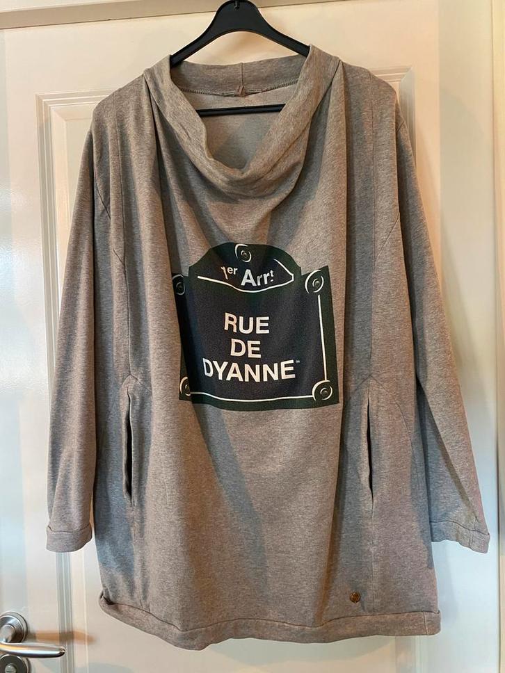 Grijze trui met 'Rue de Dyanne' print, Kleding | Dames, Truien en Vesten, Gedragen, Maat 42/44 (L), Grijs, Ophalen of Verzenden
