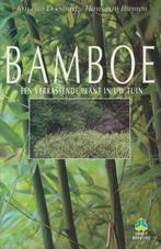 Hans van Biemen - Bamboe, Boeken, Natuur, Nieuw, Ophalen of Verzenden, Bloemen, Planten en Bomen, Hans van Biemen; J. van Doesburg