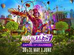 Intents Festival Zaterdag Ticket, Eén persoon