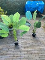 Twee kunst kamerplanten nepplanten, Ophalen