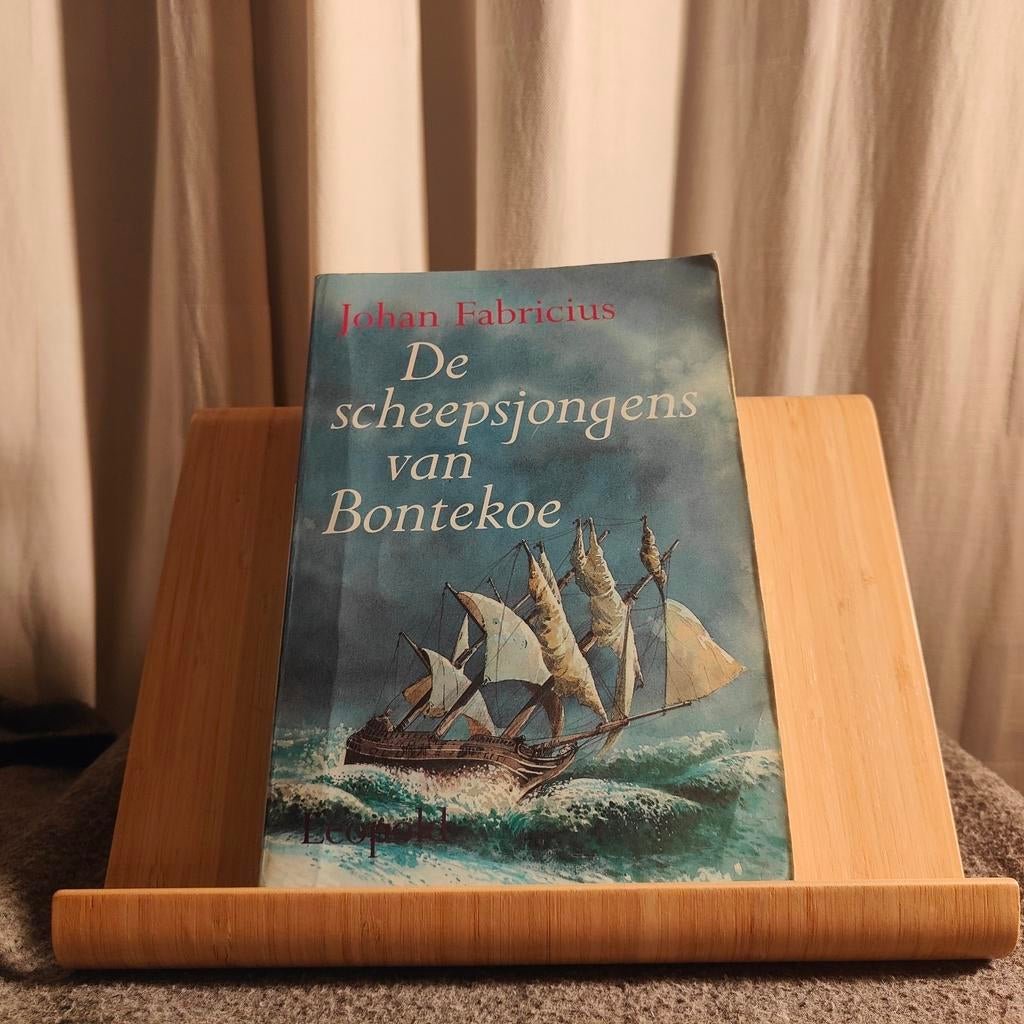 De Scheepsjongens van Bontekoe - Johan Fabricius, Boeken, Ophalen of Verzenden, Gelezen, Johan Fabricius, Fictie algemeen
