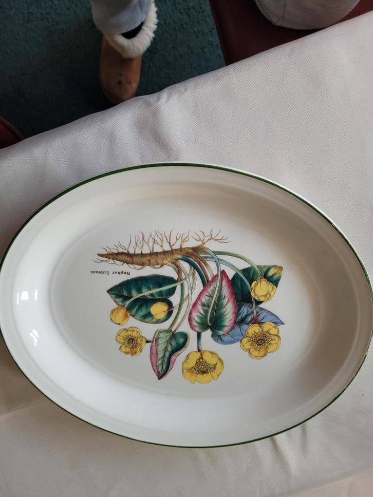 Ovale schaal Florabunda Enoch Wedgwood Tunstall, Antiek en Kunst, Antiek | Porselein, Ophalen of Verzenden