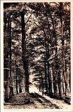 Hulshorst - Poolsche Allée (1949), Verzenden, 1940 tot 1960, Gelopen, Gelderland