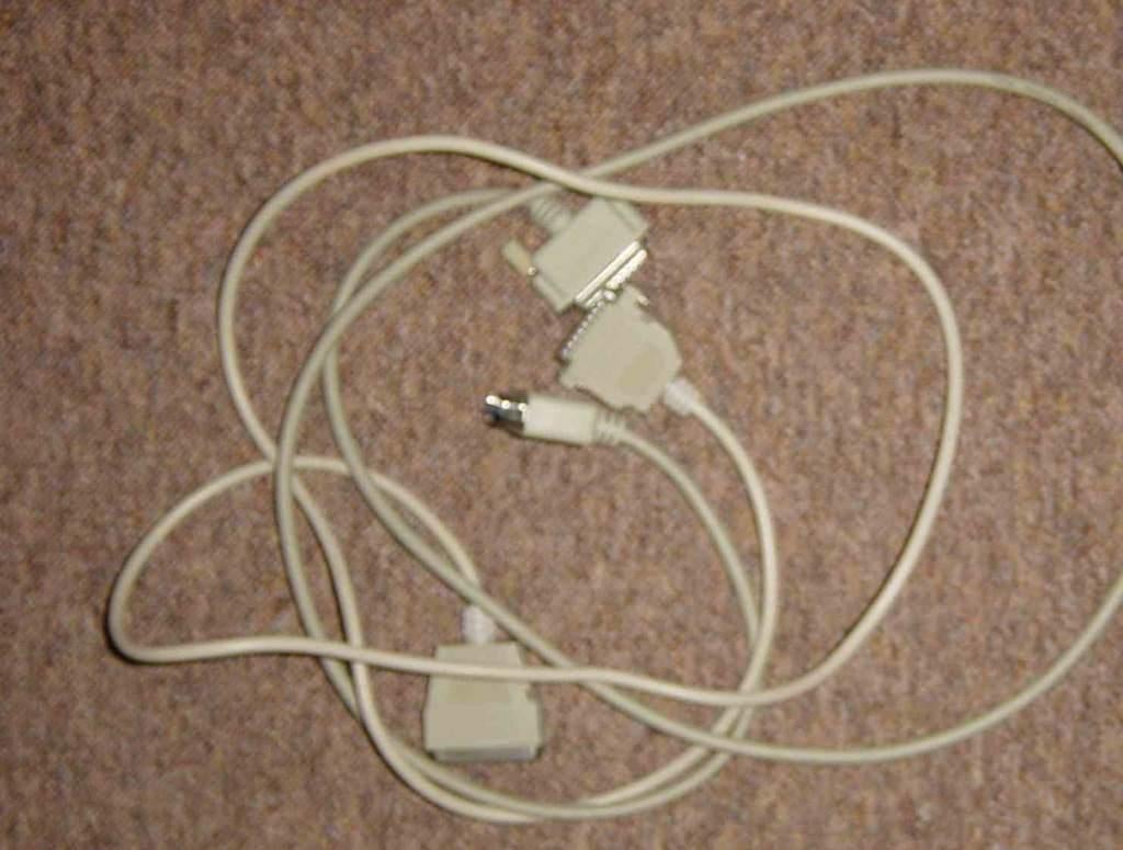 2 parallelle printer kabels 1,70 meter, Ophalen of Verzenden, Zo goed als nieuw