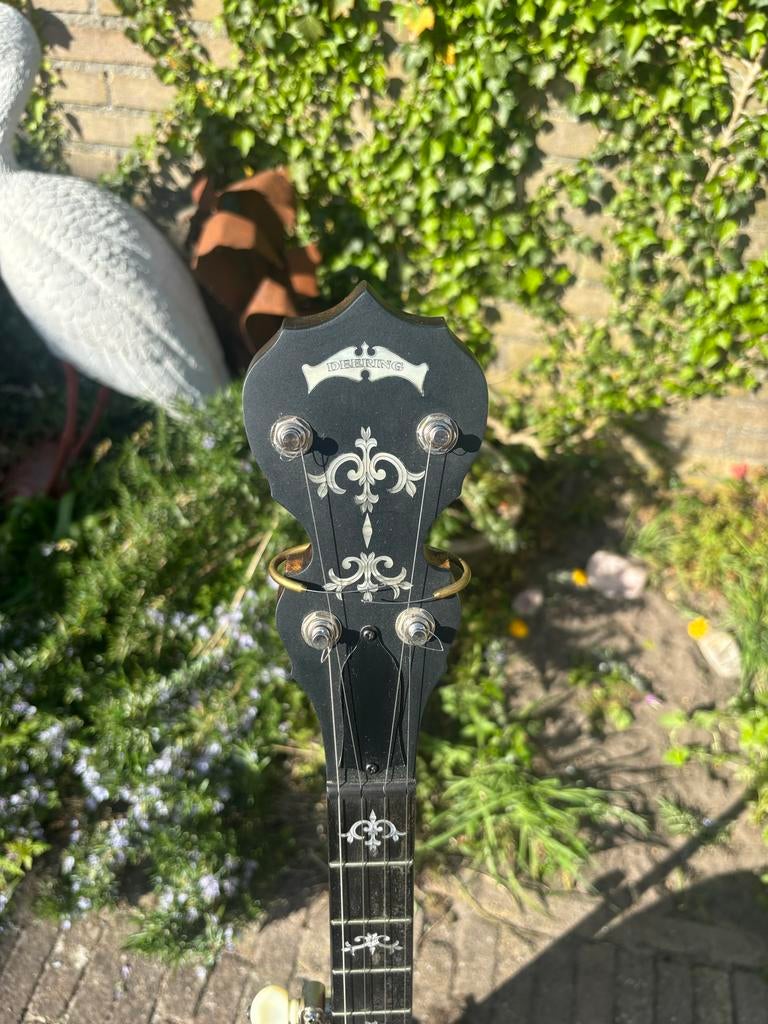 Deering Sierra 5-string banjo, Muziek en Instrumenten, Snaarinstrumenten | Banjo's, Ophalen, Gebruikt, 5-snarige of Bluegrassbanjo