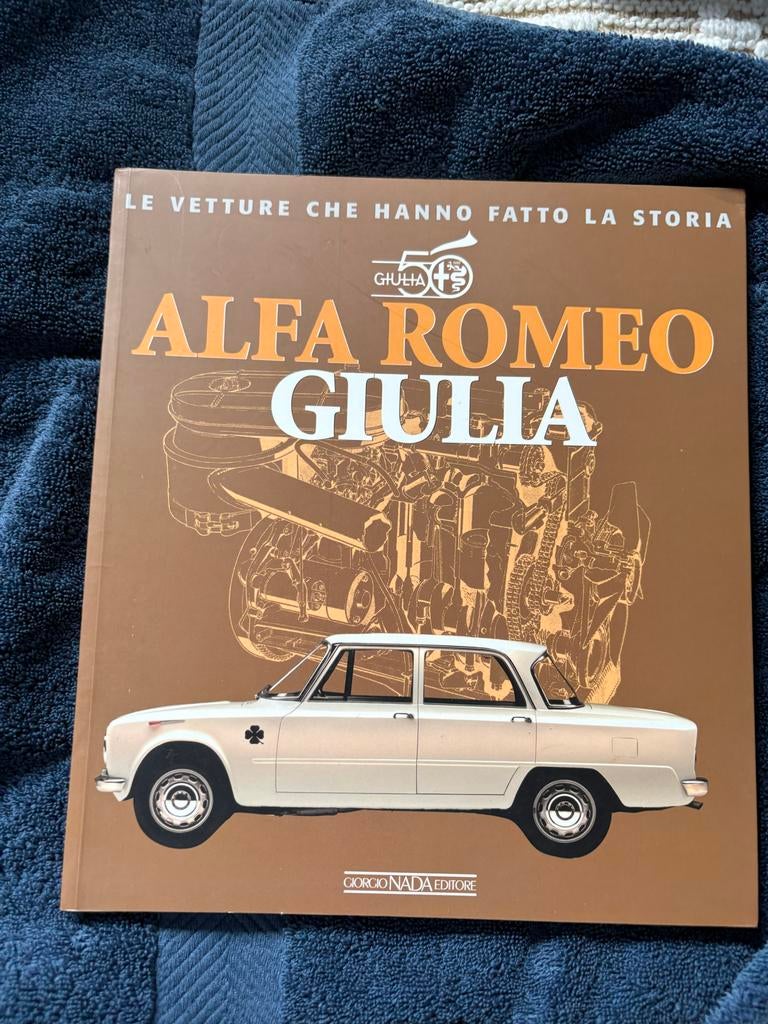 Boek Alfa Romeo Giulia, Boeken, Ophalen of Verzenden, Gelezen, Alfa Romeo