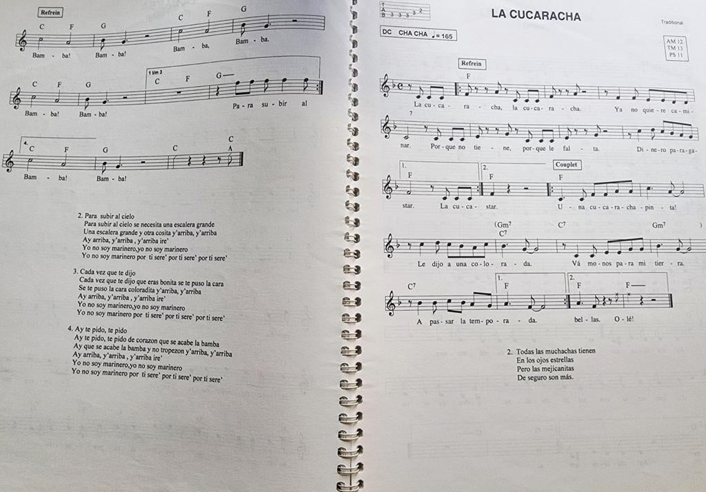 Meezingers Ed & Steve Songbook 2, Gebruikt, Keyboard, Ophalen of Verzenden, Thema