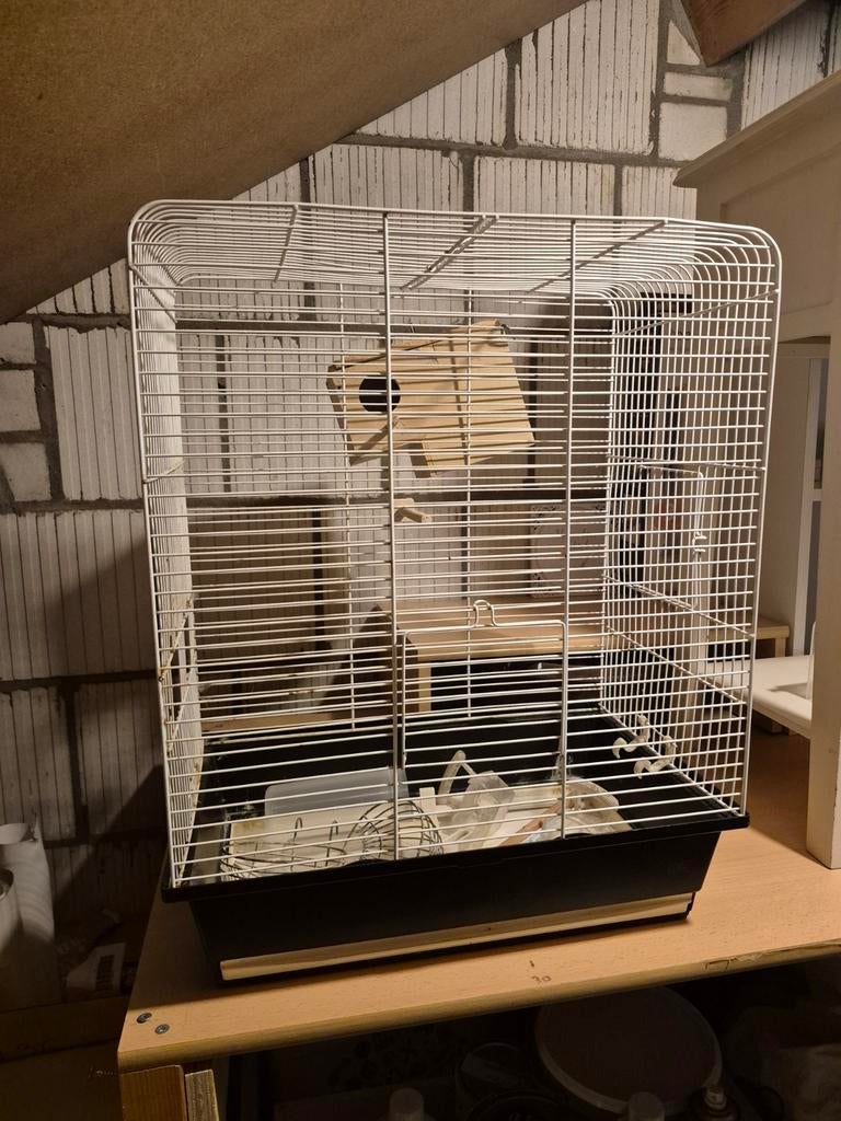 Vogelkooi, Dieren en Toebehoren, Vogels | Hokken en Kooien, Ophalen, Gebruikt, Metaal, Vogelkooi