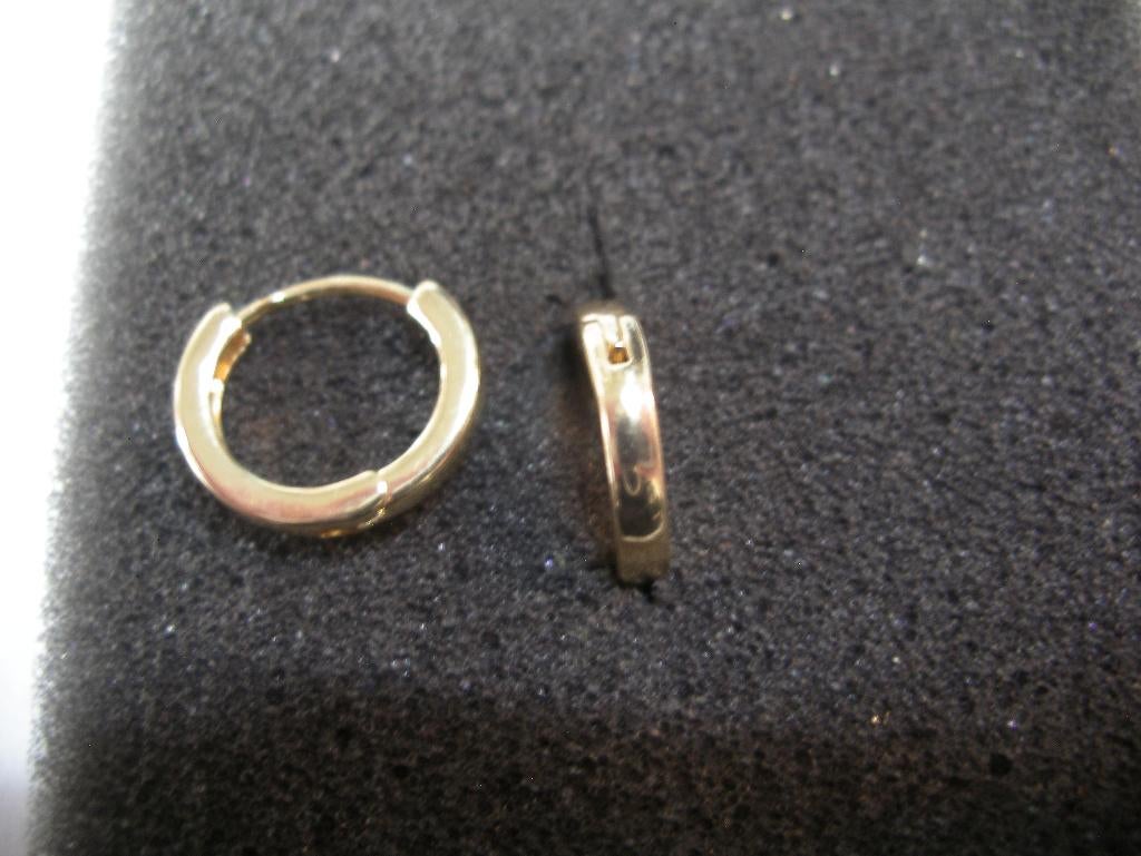 Een paar Kleine Goud Vergulde Creool Oorbellen, Verzenden, Goud, Oorbellen, Verguld