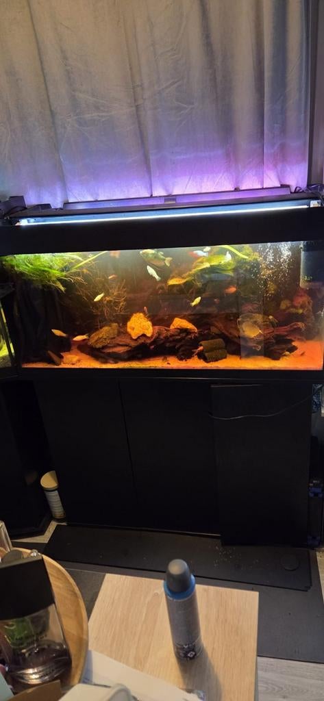 Juwel Rio 180 aquarium, Dieren en Toebehoren, Ophalen, Gebruikt, Leeg aquarium