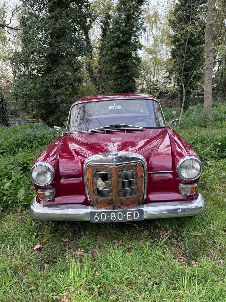 Mercedes-Benz 200-Serie 2.0 200 D 1967 Rood, Auto's, 4 cilinders, Origineel Nederlands, Particulier, 200-Serie
