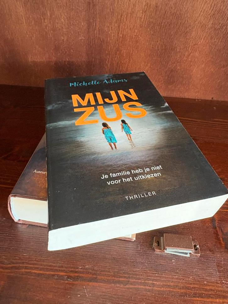 Mijn Zus - Michelle Adams, Boeken, Thrillers, Gelezen, Ophalen of Verzenden