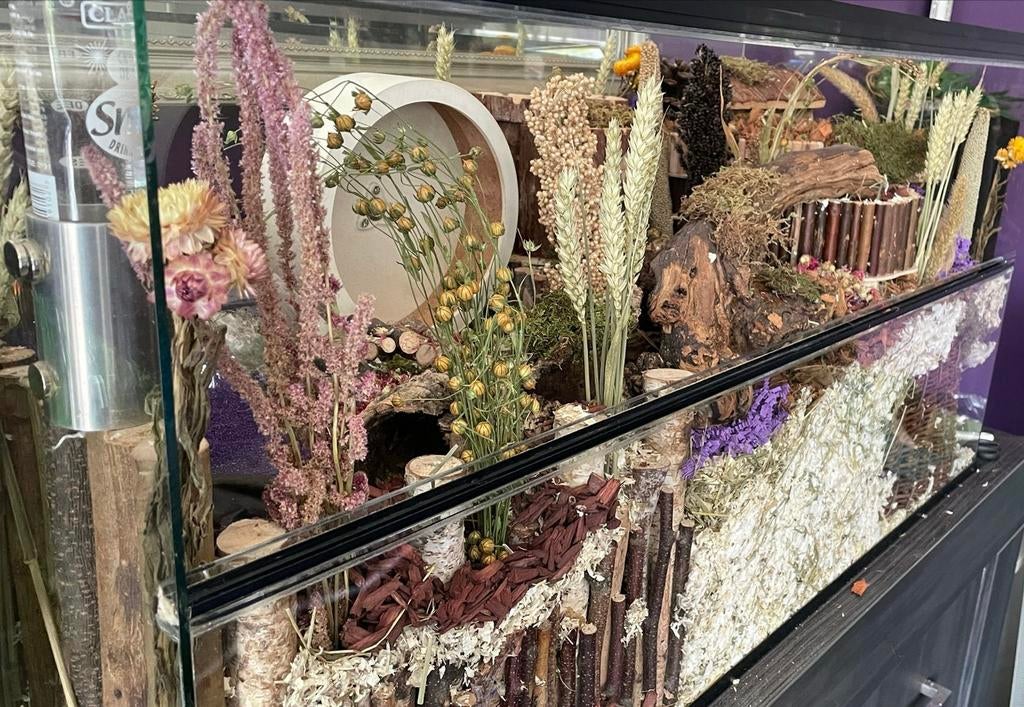 Terrarium / knaagdierverblijf – 100x40x50 cm, Gebruikt, Muis, Hok, 75 tot 110 cm