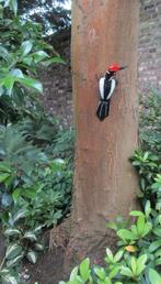 BONTE SPECHT - STREET ART - FAIRTRADE, Ophalen of Verzenden, Nieuw